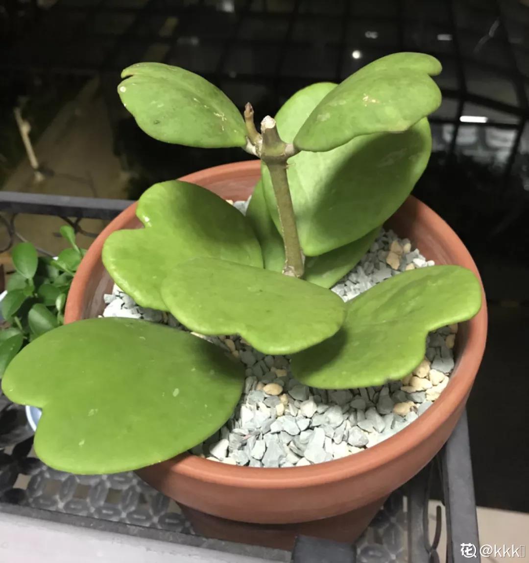 微信图片_20211123154913.jpg 微信图片_20211123154913.jpg