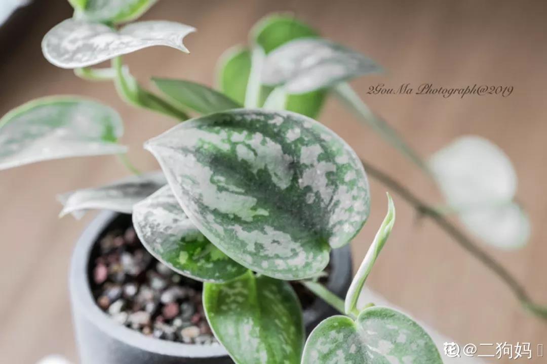 微信图片_20211123154953.jpg 微信图片_20211123154953.jpg