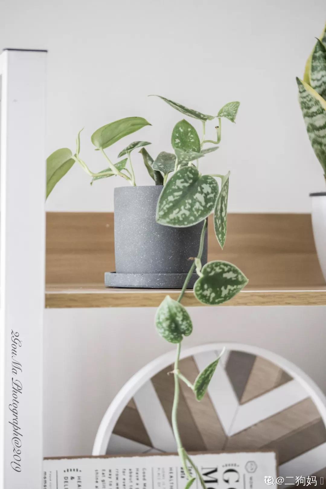 微信图片_20211123154949.jpg 微信图片_20211123154949.jpg