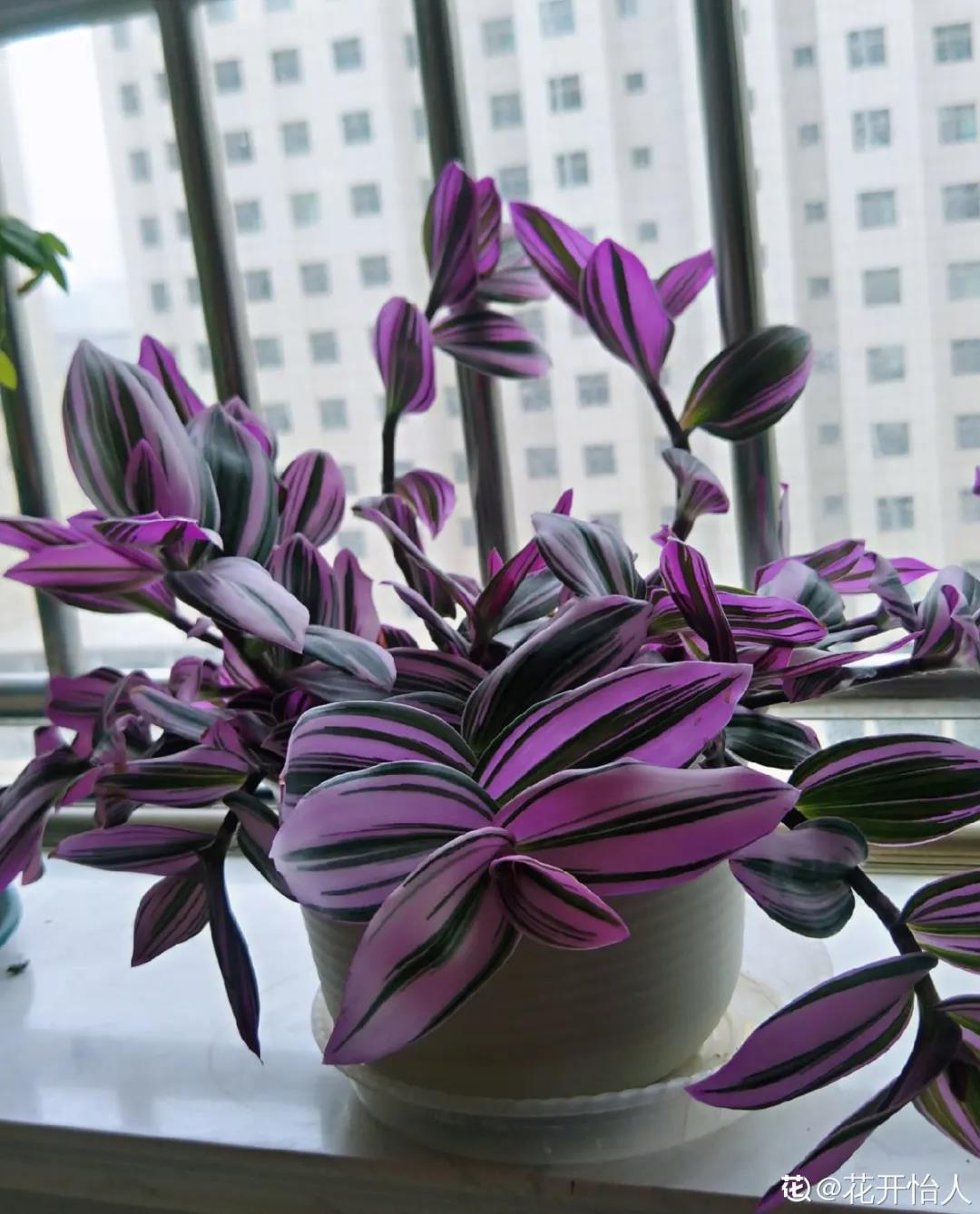 微信图片_20211123155039.jpg 微信图片_20211123155039.jpg