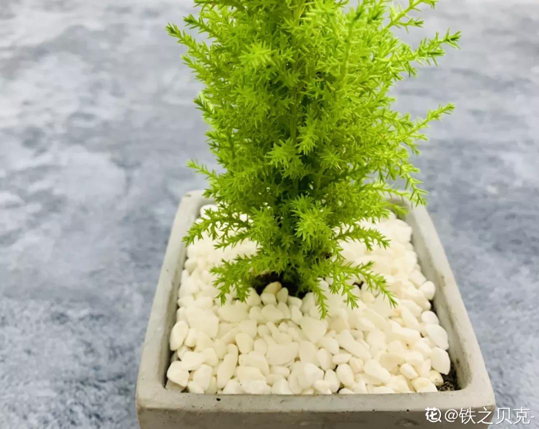 微信图片_20211123155059.jpg 微信图片_20211123155059.jpg