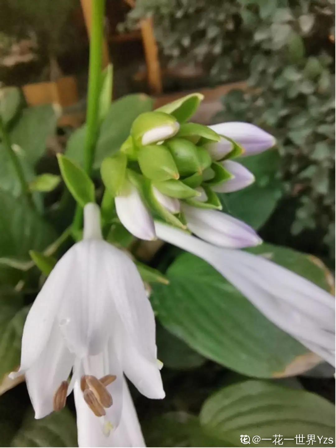 微信图片_20211123155209.jpg 微信图片_20211123155209.jpg