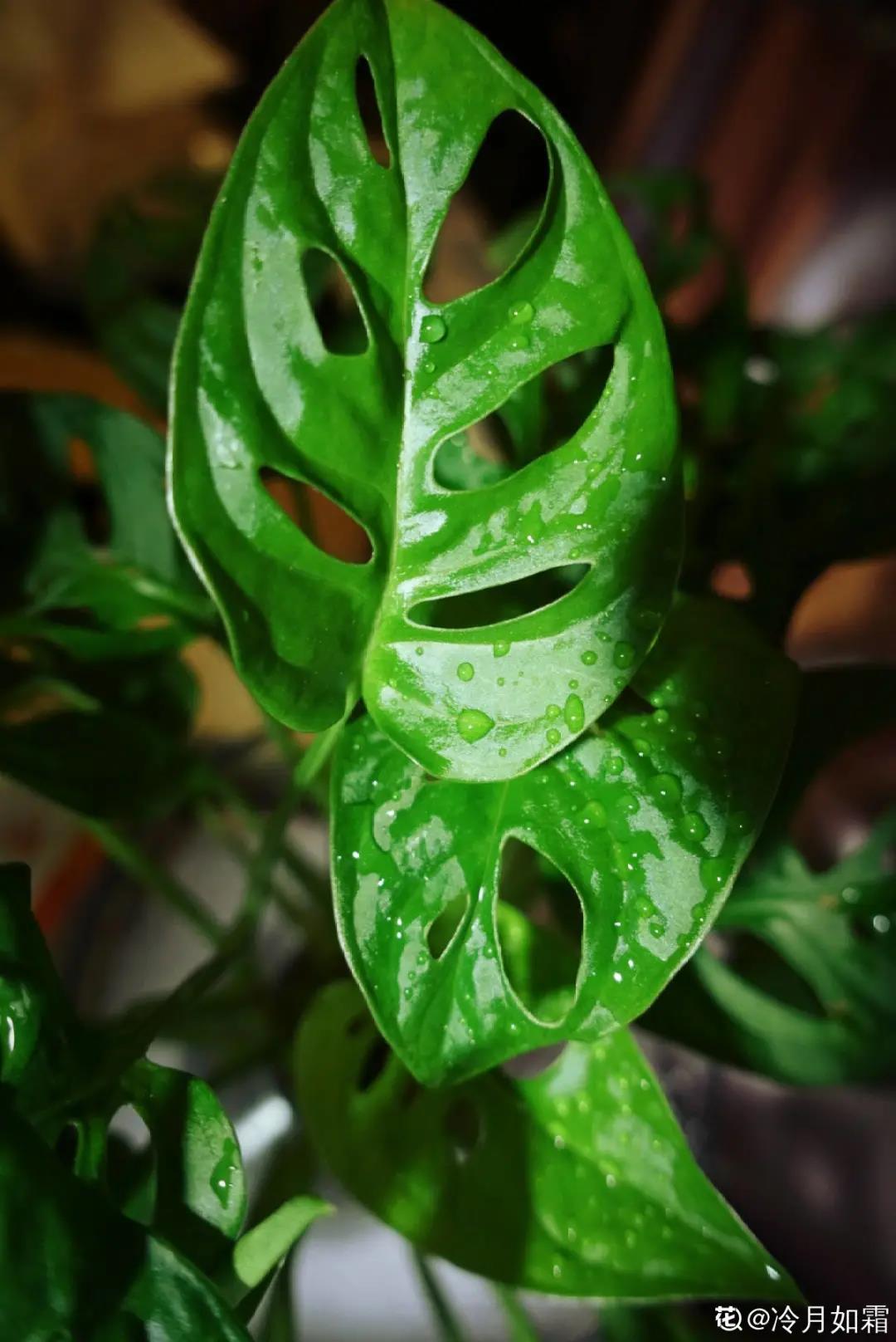 微信图片_20211123154923.jpg 微信图片_20211123154923.jpg