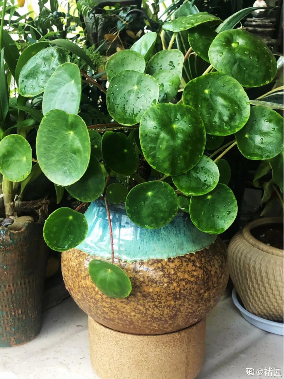 微信图片_20211123154931.jpg 微信图片_20211123154931.jpg