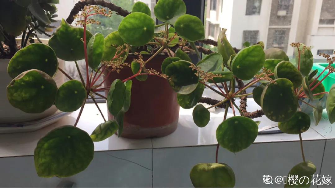 微信图片_20211123154935.jpg 微信图片_20211123154935.jpg