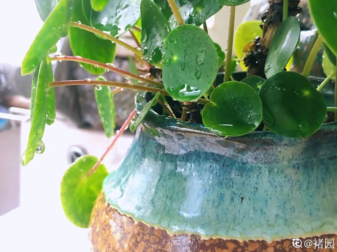 微信图片_20211123154939.jpg 微信图片_20211123154939.jpg