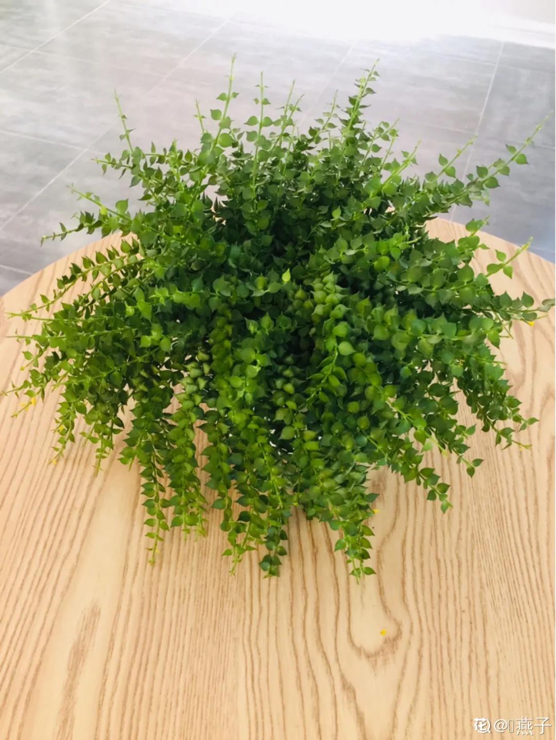 微信图片_20211123155113.jpg 微信图片_20211123155113.jpg