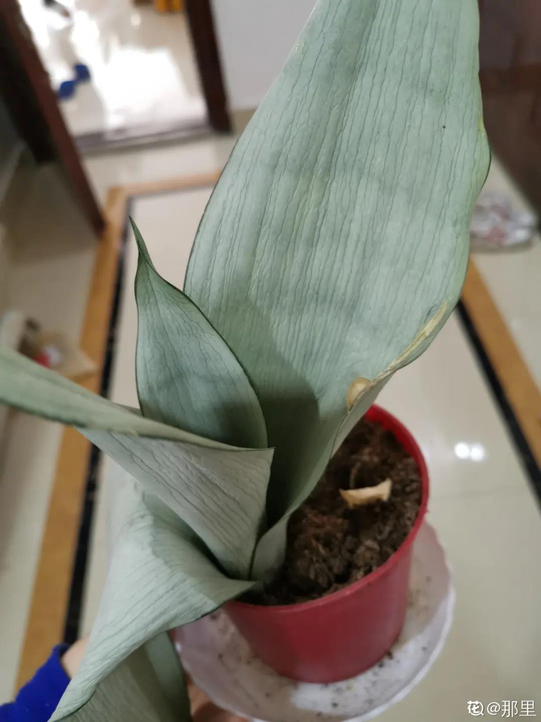 微信图片_20211123155130.jpg 微信图片_20211123155130.jpg