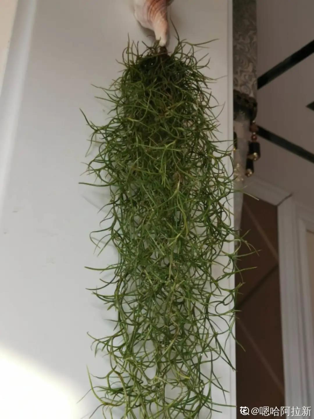 微信图片_20211123155158.jpg 微信图片_20211123155158.jpg