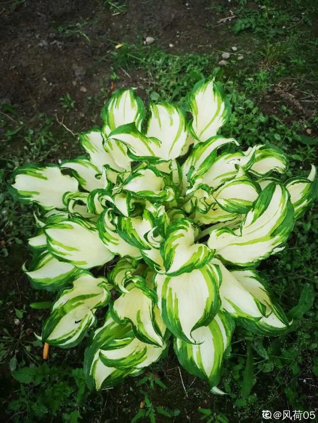 微信图片_20211123155205.jpg 微信图片_20211123155205.jpg